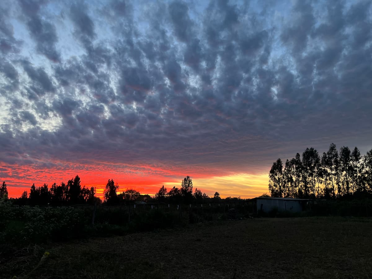 Reducing Cloud SQL DB Sizes